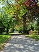 Weg auf dem Parkfriedhof der Wallfahrtsstadt Werl. Eine Vielfalt von unterschiedlichen Bäumen und Sträuchern.