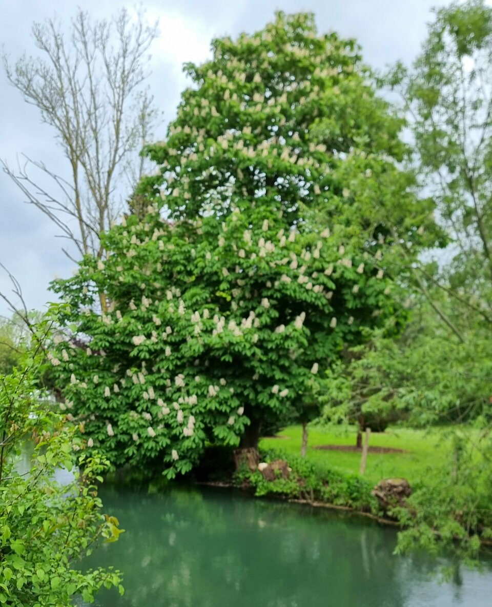 Paderwanderung-Pader erleben