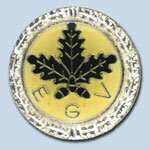 Silberne Ehrennadel